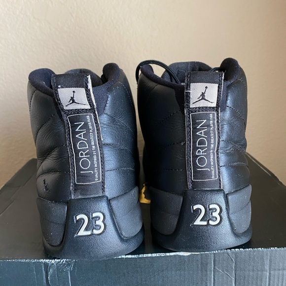 Air Jordan 12 The Master Size 10